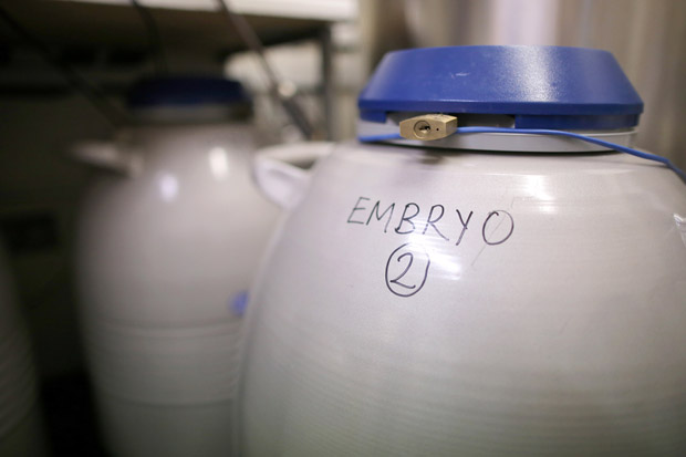 Embryos are frozen and stored in the cryo store at Birmingham Women's Hospital fertility clinic on January 22, 2015 in Birmingham, England. 
