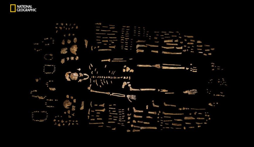 06_ngm_1015_MM8345_mystery_man_robert_clark