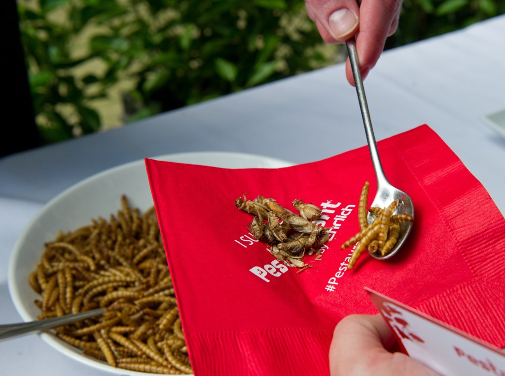 A patron is served roasted crickets and mealworms on June 4, 2014 during a global Pestaurant event sponsored by Ehrlich Pest Control, held at the Occidental Restaurant in Washington, DC.