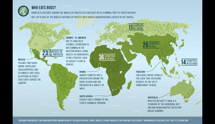 LH Ento Map Infographic