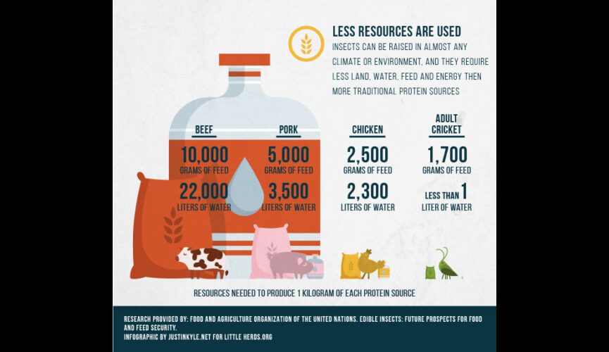 LH Feed&H2O Infographic