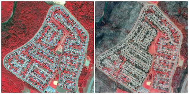 Satellite images from Digital Globe show a section of Alberta, Canada before (left) and after (right) wildfires tore through the region in May. The red areas of the image show healthy vegetation; the black and gray areas are those burned by the fire.