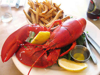 4050876879_1ee10fd53b_z