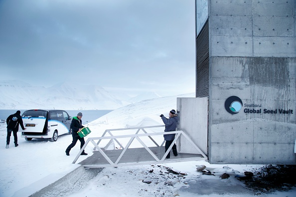 A man carries one of the newly arrived boxes containing seeds from Japan and USA into the international gene bank Svalbard Global Seed Vault (SGSV), outside Longyearbyen on Spitsbergen, Norway, on March 1.