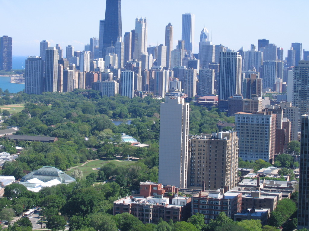 A view of trees in Chicago.
