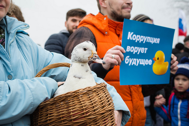 Thousands of Russians took to the streets  Sunday in anti-corruption protests. A woman in St. Petersburg holds a duck, a symbol of alleged lavish spending by the country's prime minister, Dmitry Medvedev. 