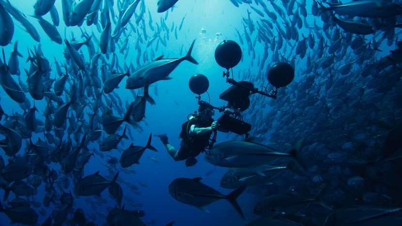 Scientist Steve Simpson uses a multi-directional hydrophone to record the sounds of the coral reef.
Scientists have recently discovered that many fish on the reef rely on sound at key stages in their life - and that man-made noise is interfering with this.