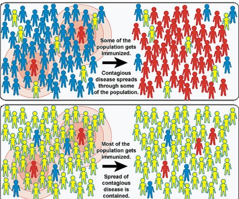 Part of an image from NIH depicting so-called "herd immunity." Measles outbreaks can more easily occur in communities where numbers of immunized people has dropped below a critical mass.