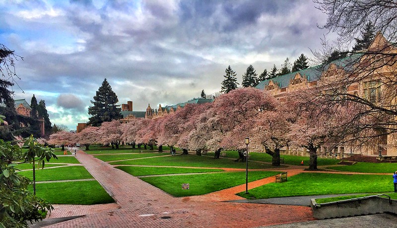 The University of Washington was one of the first large schools in the U.S. to close its campus this past March over the coronavirus.