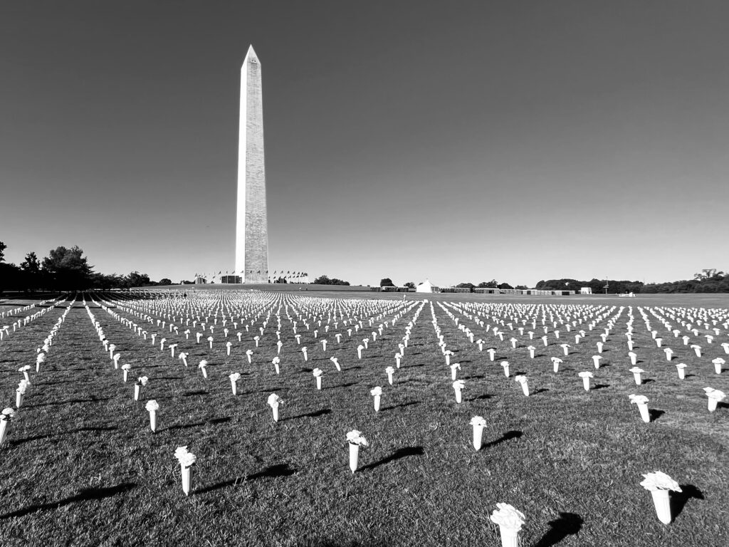 Last summer's gun violence memorial at the Washington Monument. The last three years have seen a significant uptick in gun deaths, including suicides, homicides, accidental deaths and mass shootings, like the one that occurred in Nashville this week. 