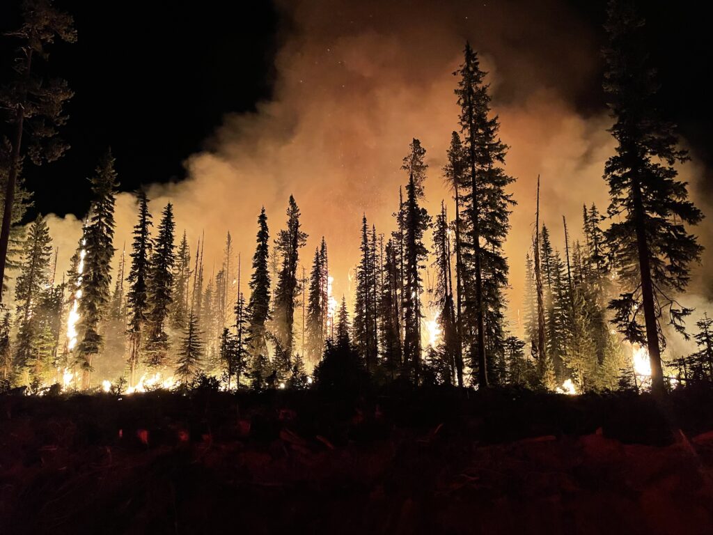 A forest fire in Umatilla National Forest in Oregon burns in July 2021.