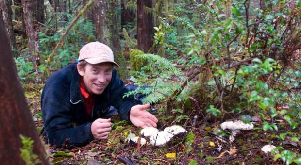 "Mushroom Hunters" author Langdon Cook forages matsi mushrooms.

