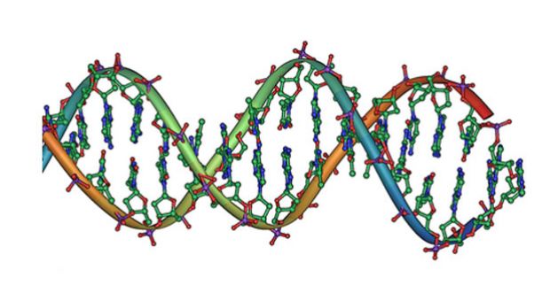 DNA double helix horizontal

