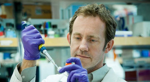 Matthew Farrer, appointed to the Dr. Donald Rix B.C. Leadership Chair in Genetic Medicine, works in his lab at the University of B.C. The Province’s Leading Edge Endowment Fund chair supports the world-class scientist’s work in identifying genes related to Parkinson’s, which is expected to lead to therapies that will arrest and prevent the disease.
