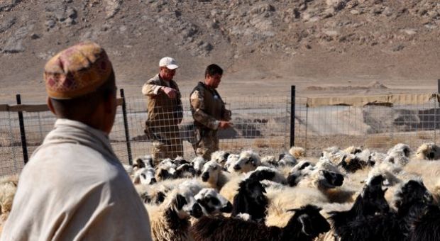 A pioneering vet clinic in Taliban country (Afghanistan)