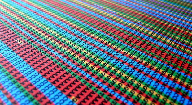 DNA sequence