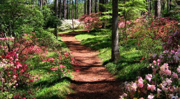 Callaway Gardens, Georgia