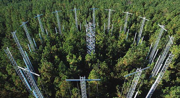 CO2 enrichment in Loblolly Pine forests at Duke University