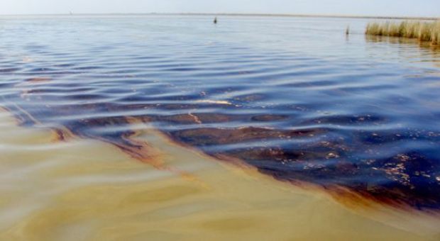 Oil in the South Pass area of Louisiana, April 2010 